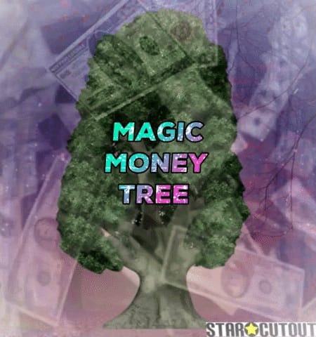 🤑n Wage Transparency 🫰