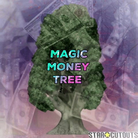 🤑n Wage Transparency 🫰